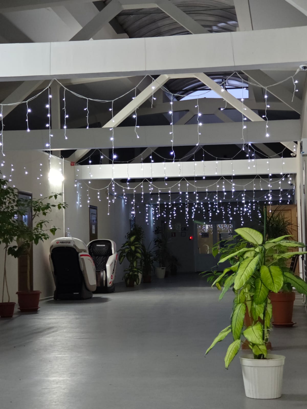 Кабинет №223